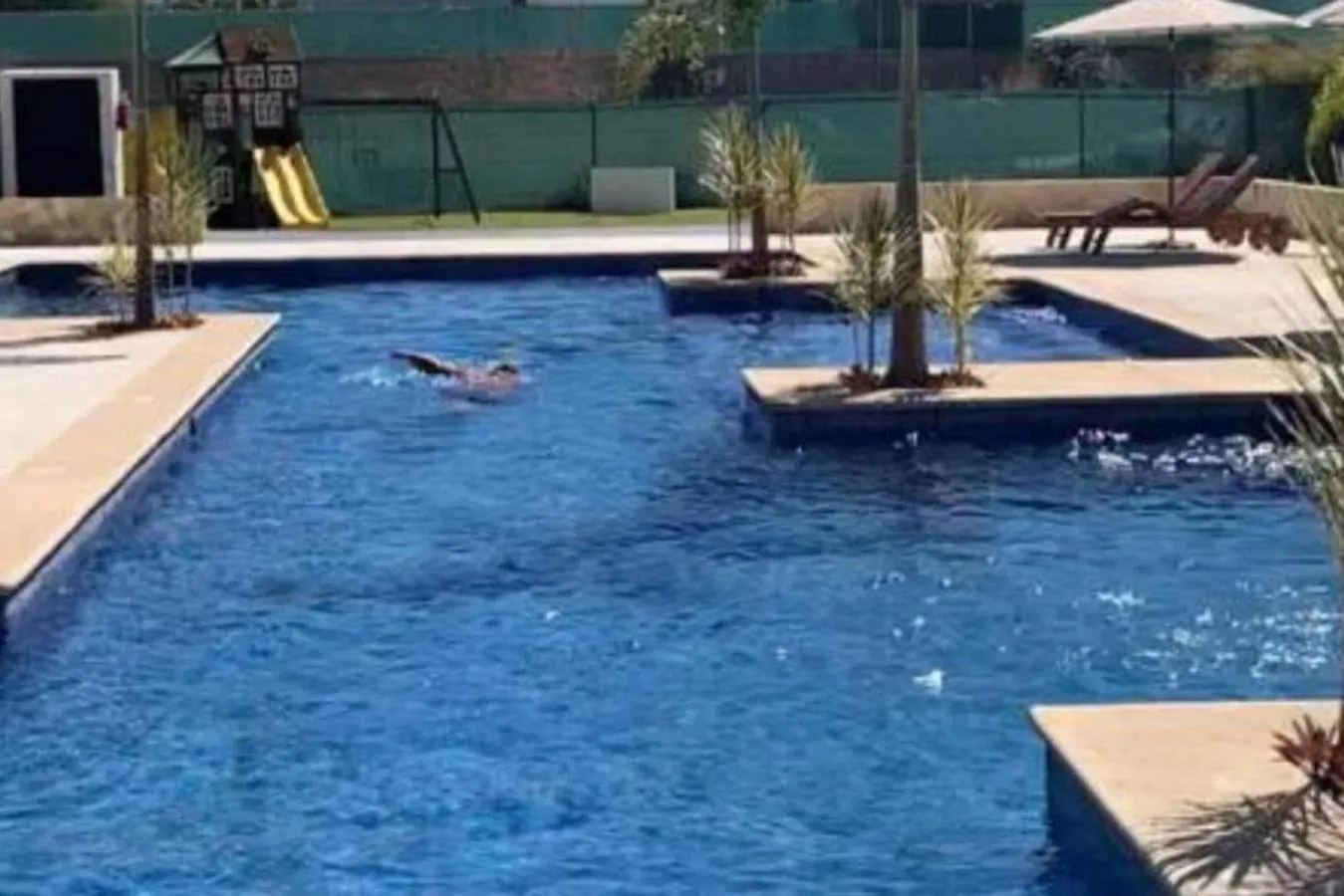 Residencial Bambu Pool Beach 10 Mins Near Town Apartment Puerto Vallarta Mexico